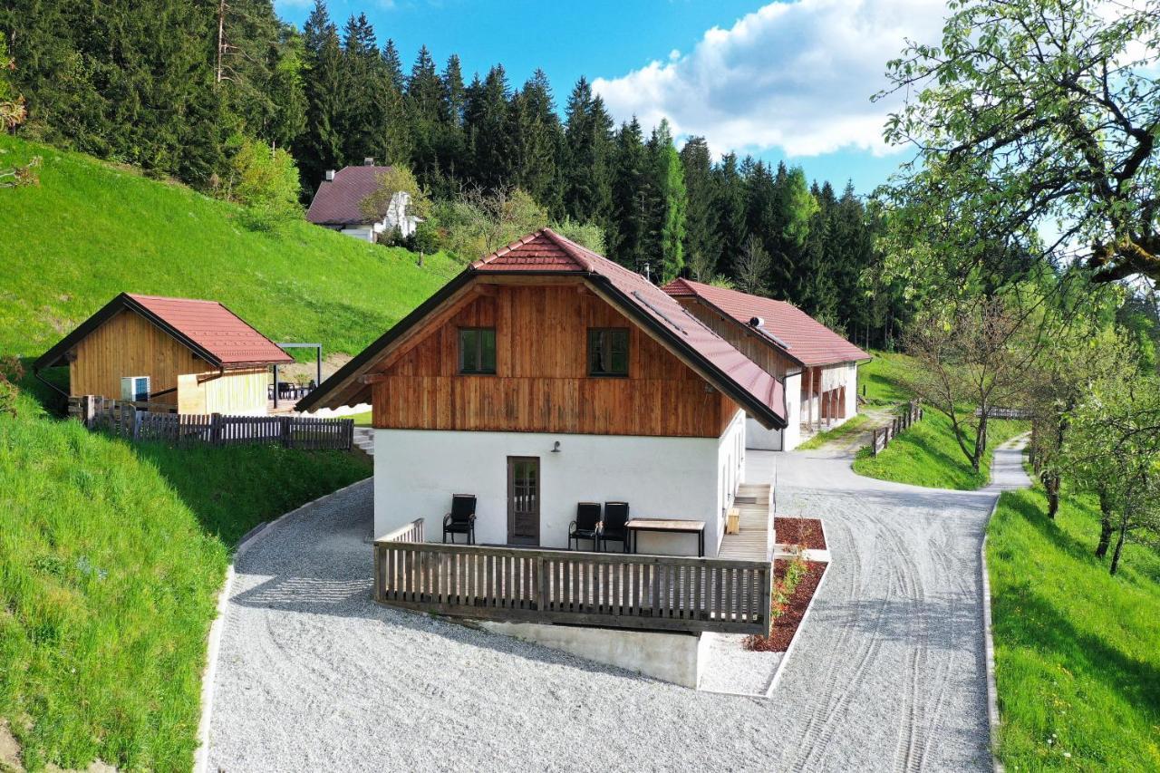 Villa Richterberg With Sauna & Hot Tub سلوفينج غرادتس المظهر الخارجي الصورة