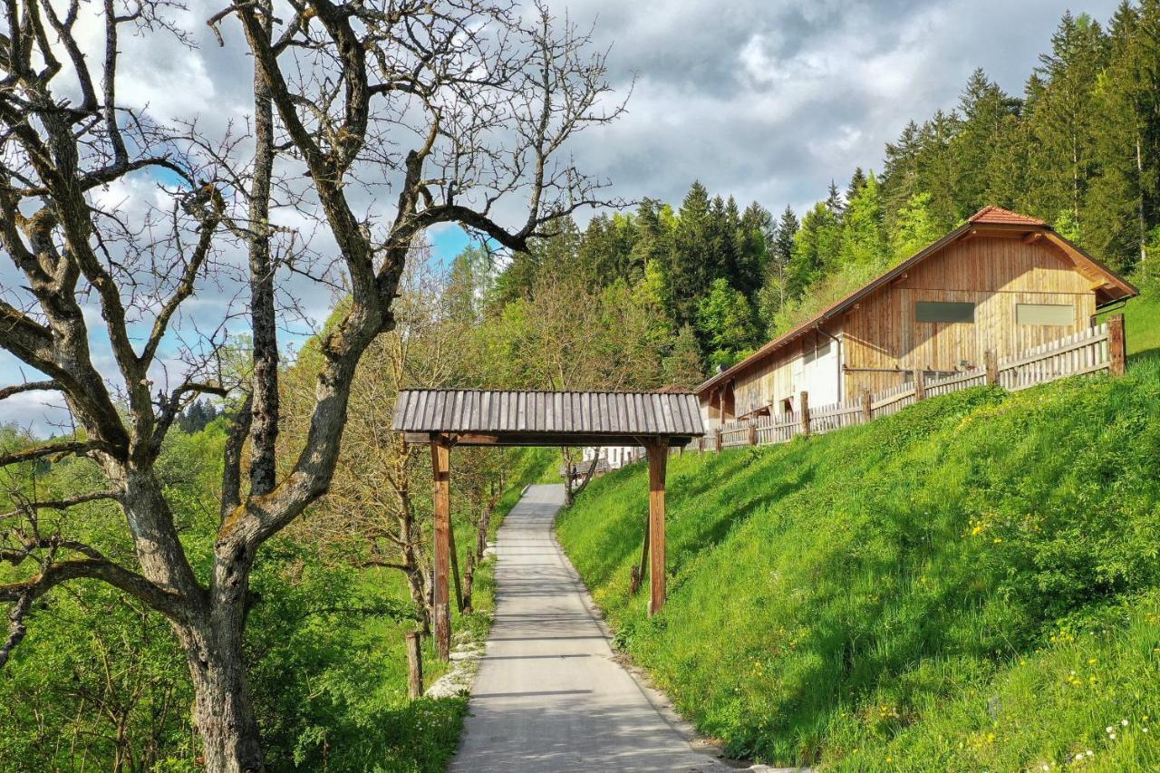 Villa Richterberg With Sauna & Hot Tub سلوفينج غرادتس المظهر الخارجي الصورة